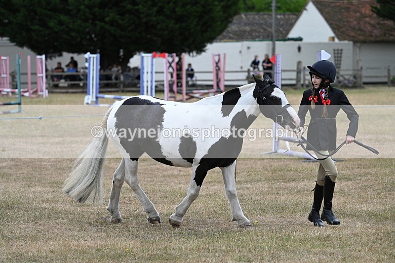 WJ7_8278 - Class 4 Prettiest Mare up to 14.2hh