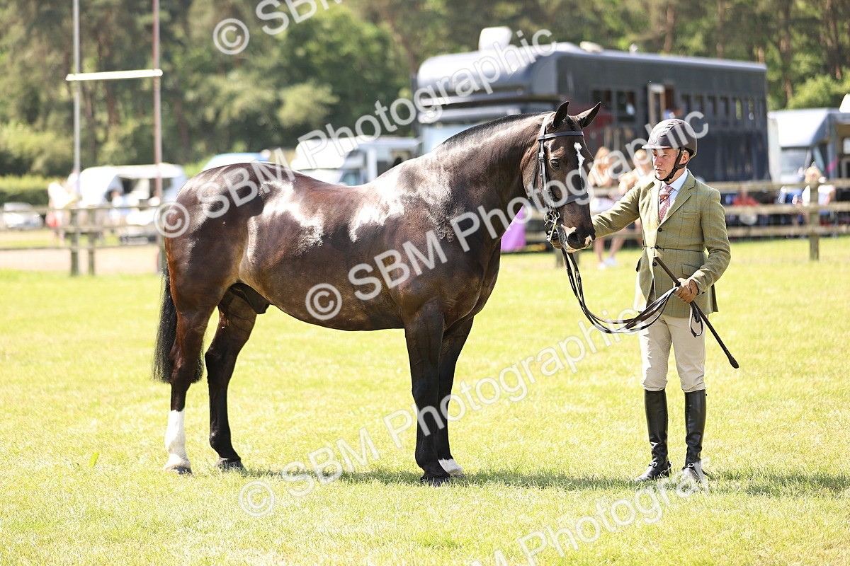 SBM_13806 - Class 77 - LIHS BSHA Rising Star Cobs