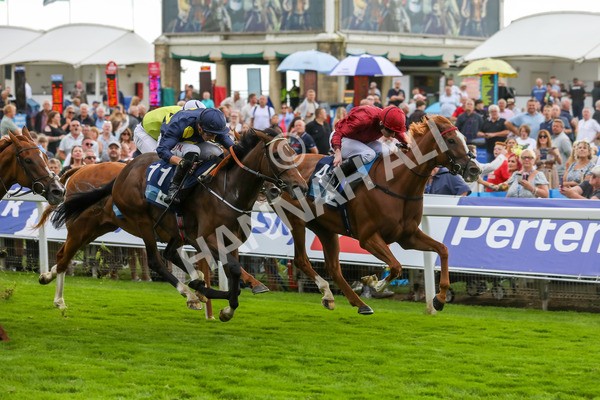 240823-Race 5-Sea Theme-5422 - Race 5 4.10pm British EBF & Sir Henry Cecil Galtres Stakes