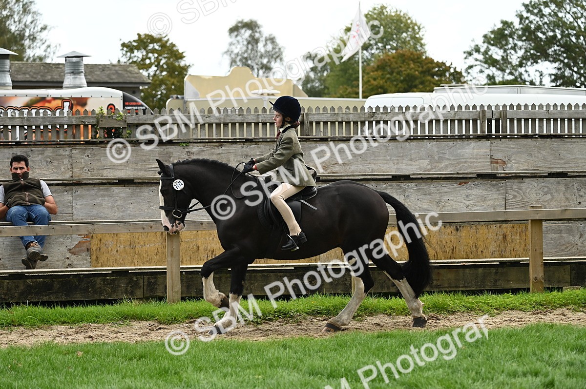 SBM_02893 - S3 - TSR Ridden Pony Showing