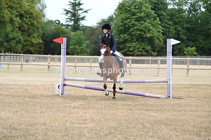 WJ6_0330 - Class 13 Novice Jumping 60cm