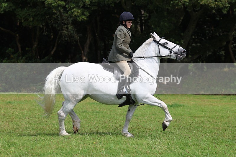 3E7A5993 - Class 28: 75cm Working Hunter