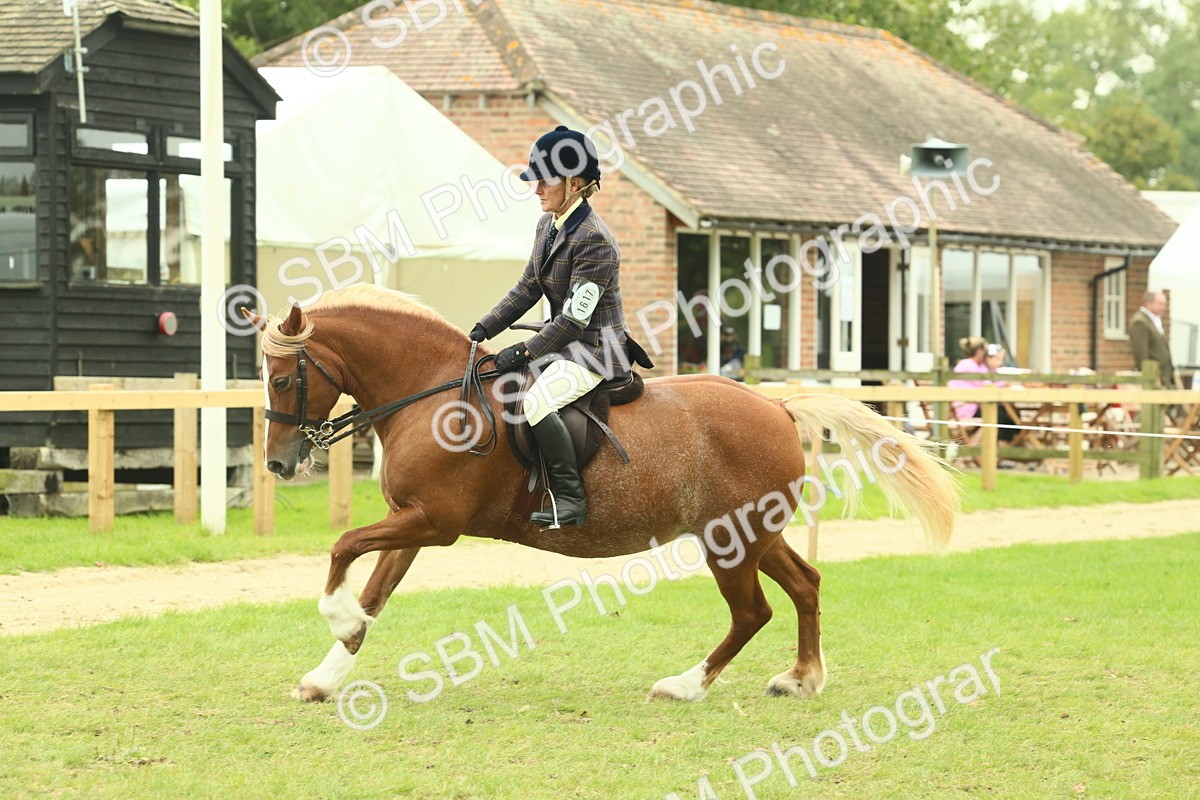 SBM_72089 - S60 - Mountain & Moorland Ridden Large Breeds