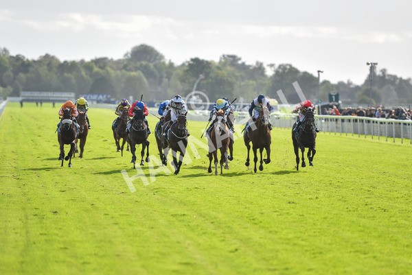 141023-Race 2-Whiskey Pete-0750 - Race 2 1.50pm Play Coral 'Racing-Super-Series' For Free Nursery Handicap