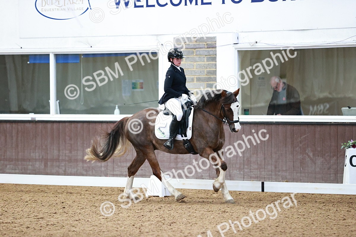 SBM_000149 - Class 3, 4, 8, 10 Intro 3 Prelim 3 Novice 2