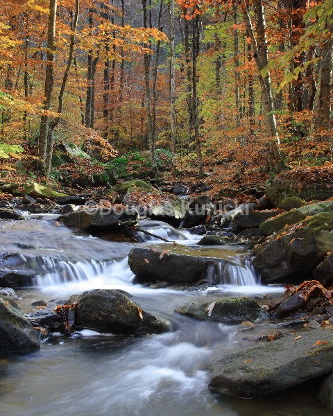  - Fall and Winter