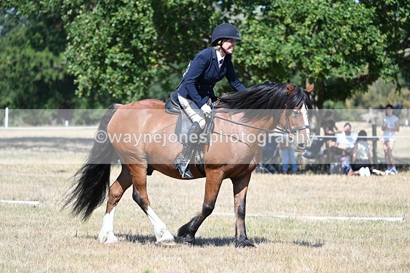 WJ7_0846 - Time 12:03 to 12:23