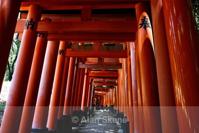 DSC05417 - Kyoto