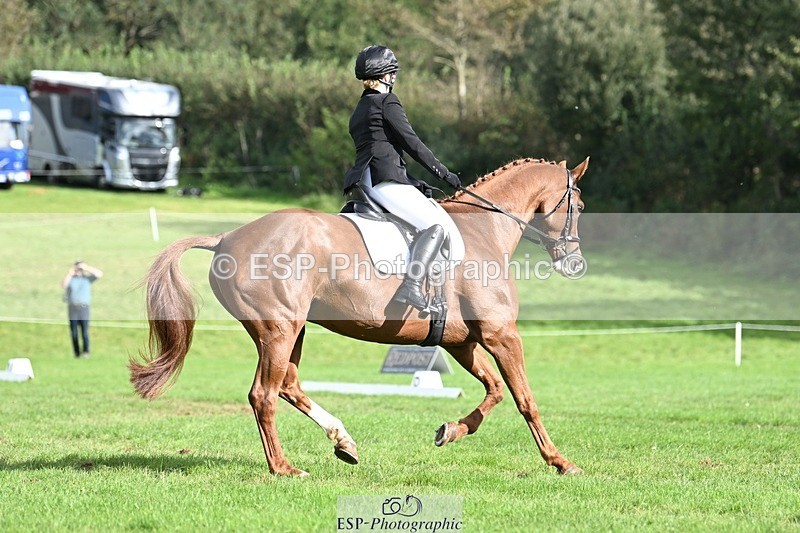 231020-121034-08014 - 484-JESATRAN.FIRECRACKER-Sally.Morton-DR