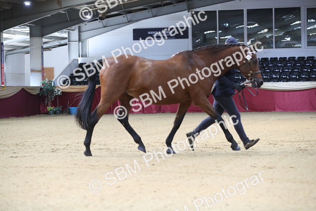 SBM_00238 - Class 1a - Area IH Diamond