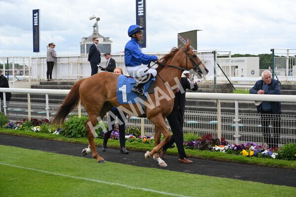 yr21052022r1-6 - Race 1: 1:40pm William Hill Play Responsibly Stakes