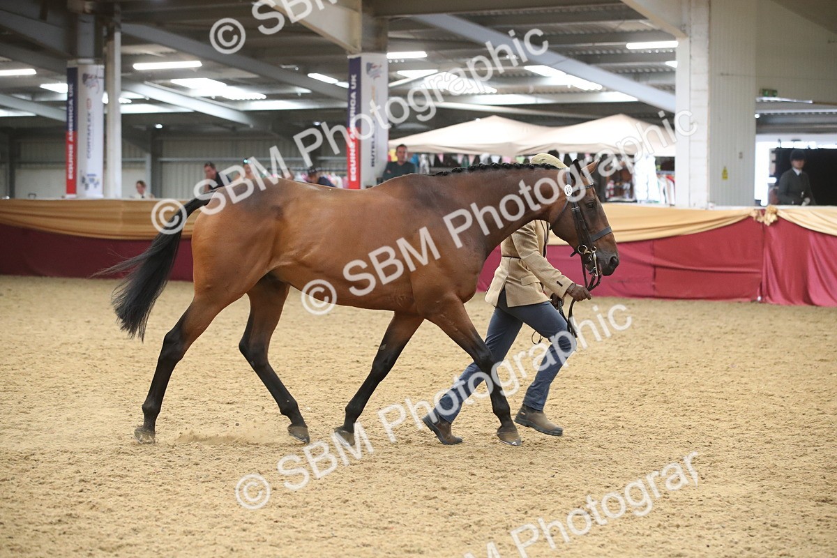 SBM_05681 - Class 9R - Regional IH Pre-Vet