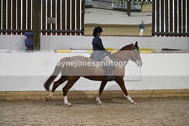 WJ7_3848 - Class 17 Ridden Cob