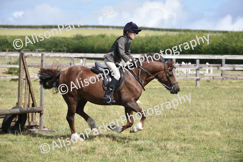 20250831-3924 - Class 11 - Working Hunter Pony 13hh and Under