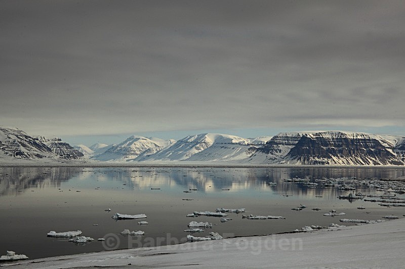 Billefjorden 6886 - Winter in the daylight