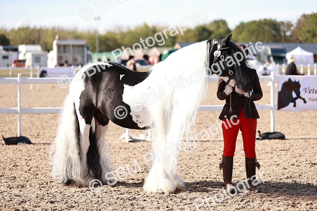 SBM_12597 - Class 404 - IH Traditional - Native Cob
