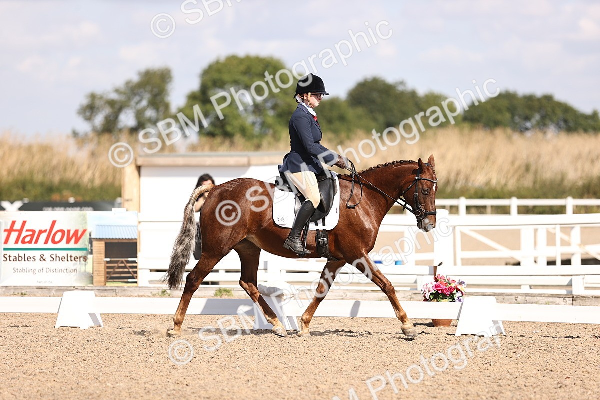 SBM_03568 - CLass 35 Intro 3