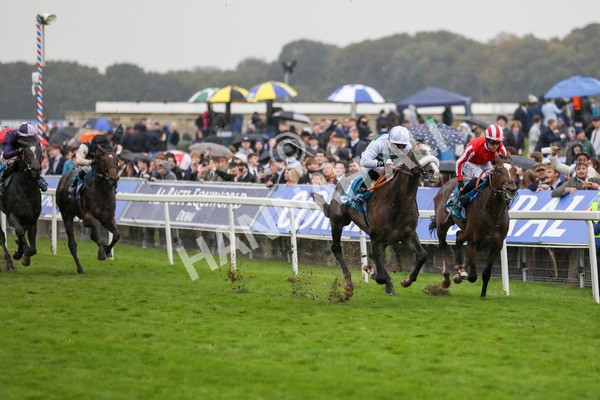 121024-Race 5-Almeric-7317 - Race 5 3.55pm Coral Racing Club EBF Maiden Stakes