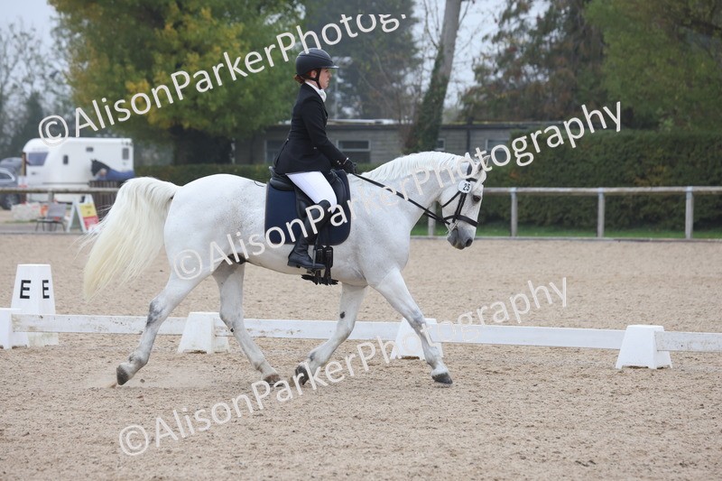 20251012-0411 - Class 3 - Novice 5