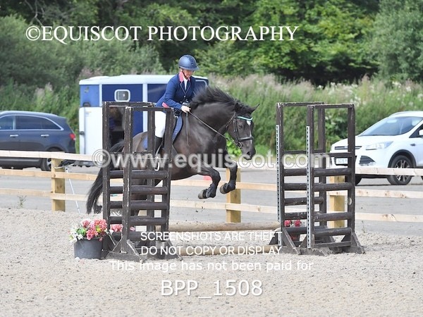 BPP_1508 - DERBY CLASS 3 - 40CM