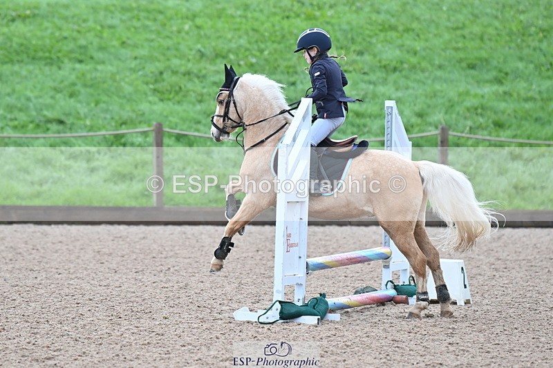 231029A-090630-02285 - 50cm Clear Round