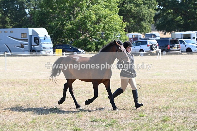WJ6_7533 - Class 34 Judges Choice