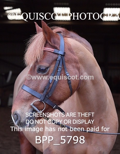 BPP_5798 - Sarah Page