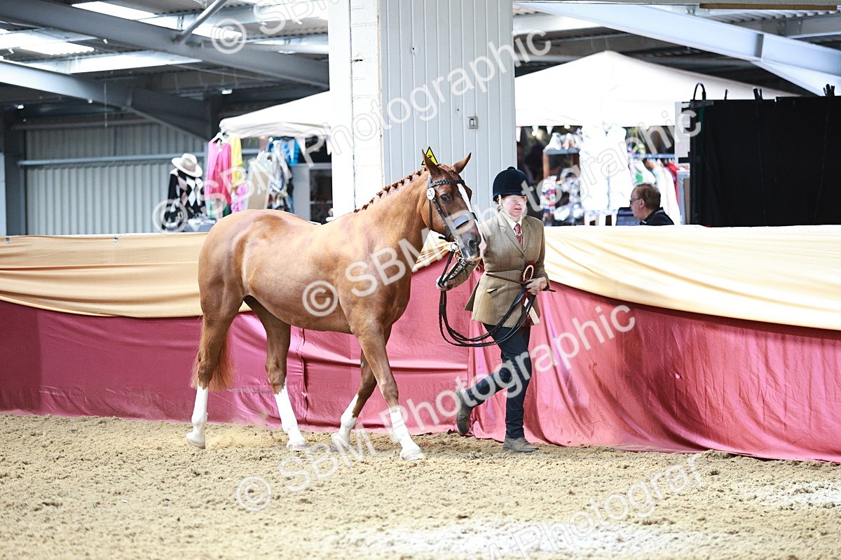 SBM_04906 - Class 7R - Regional IH Diamond