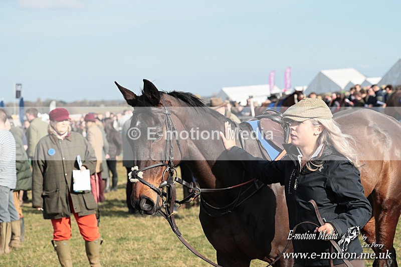 PtP 010325 382 - Beaufort Races Didmarton 01/03/25