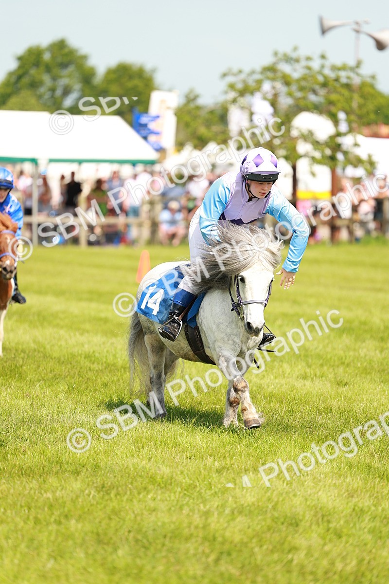 SBM_04626 - Shetland Grand National