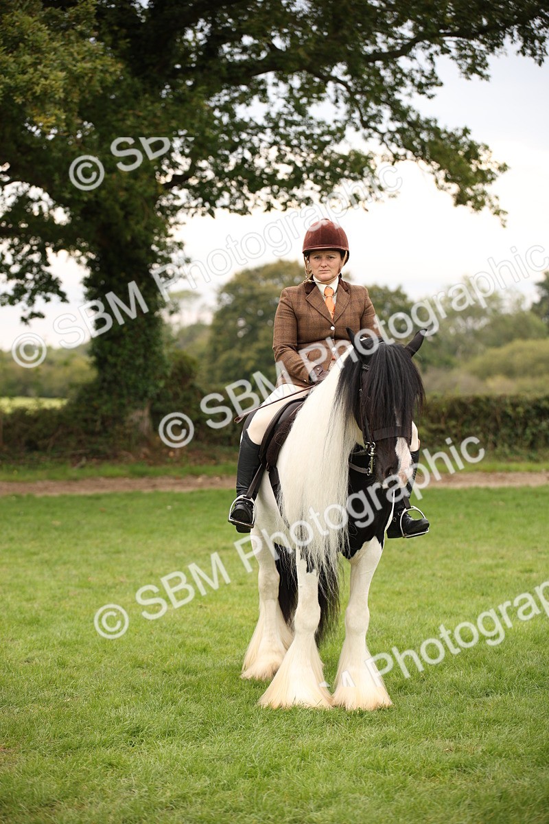 SBM_73466 - S68 - Traditional Cob Ridden