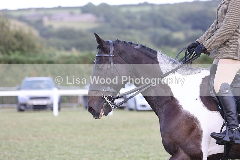 JPP_3575 - Class 22: Working Hunter 90cm