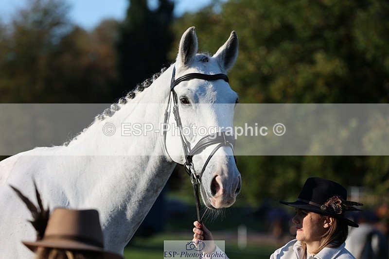 241027-084254-14766 - 386-Sarah.Ulph-COOL.ICE