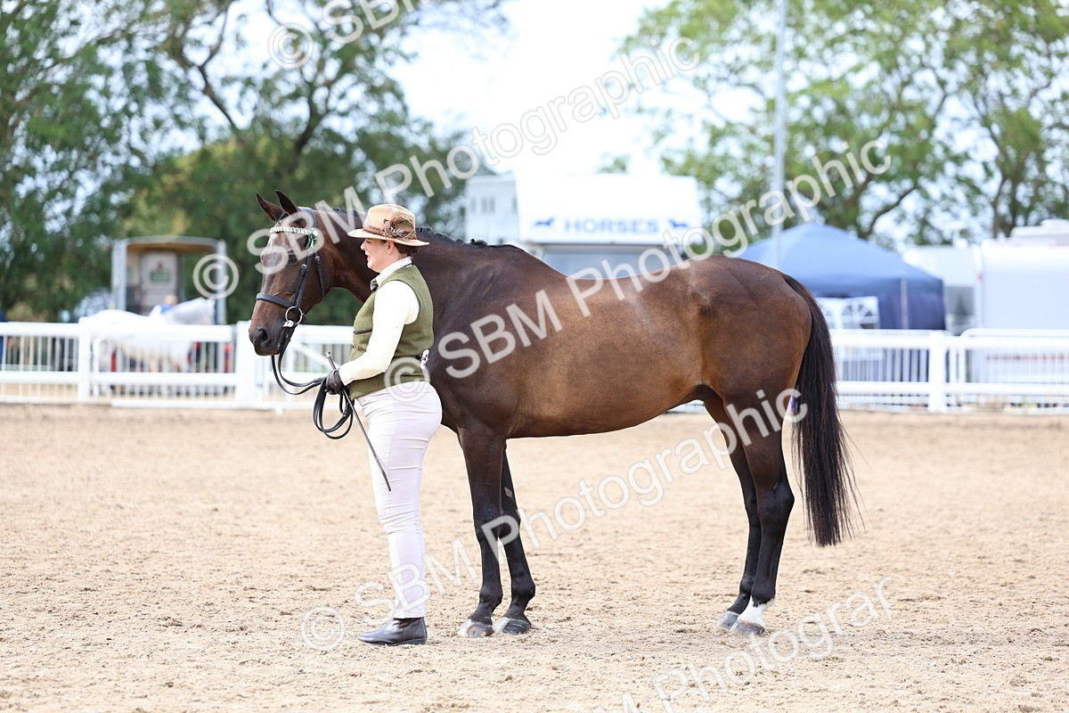 SBM_03912 - Class 25 - IH Foreign Breeds - Pure Bred