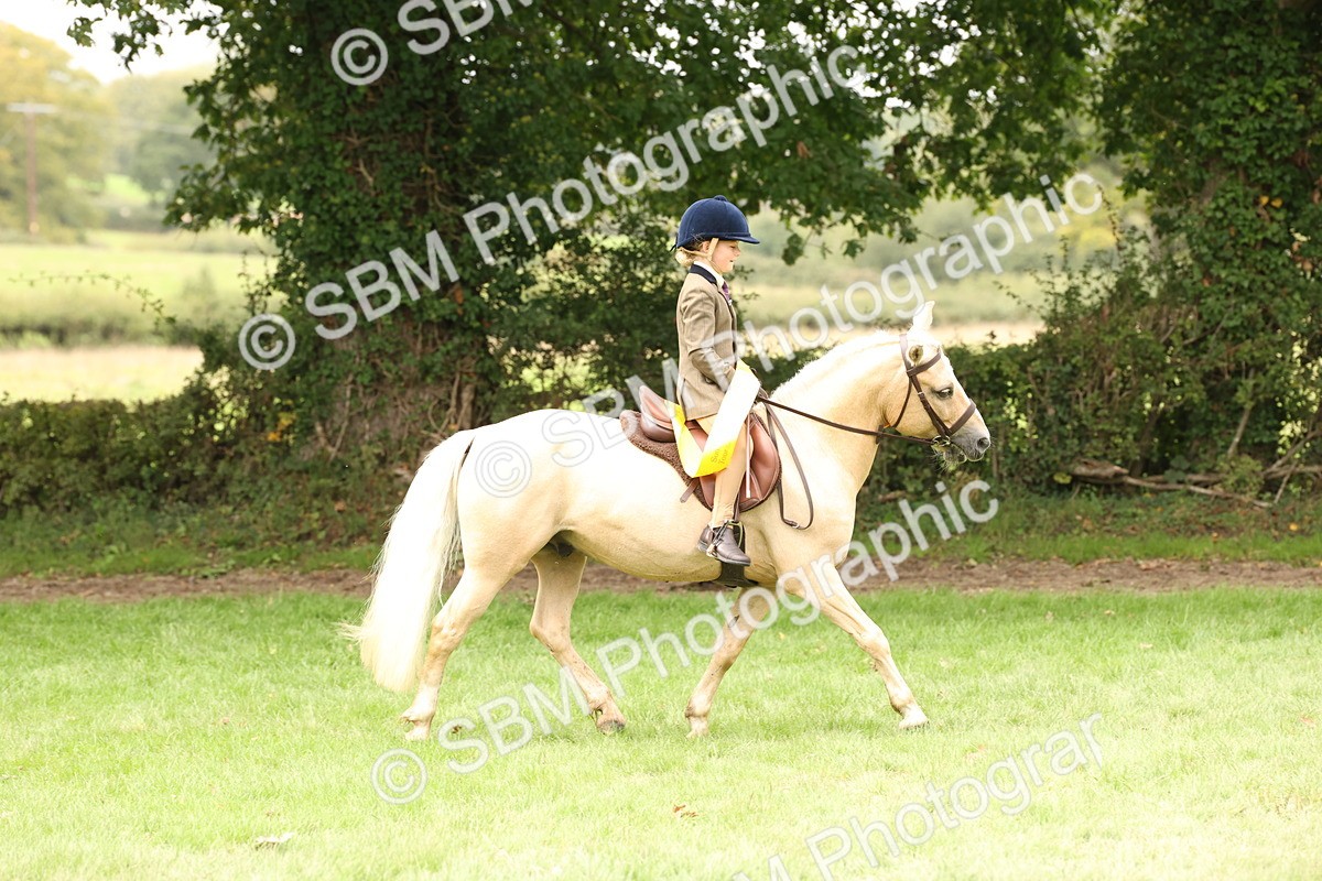 SBM_63062 - S64 - Foreign Breeds Ridden