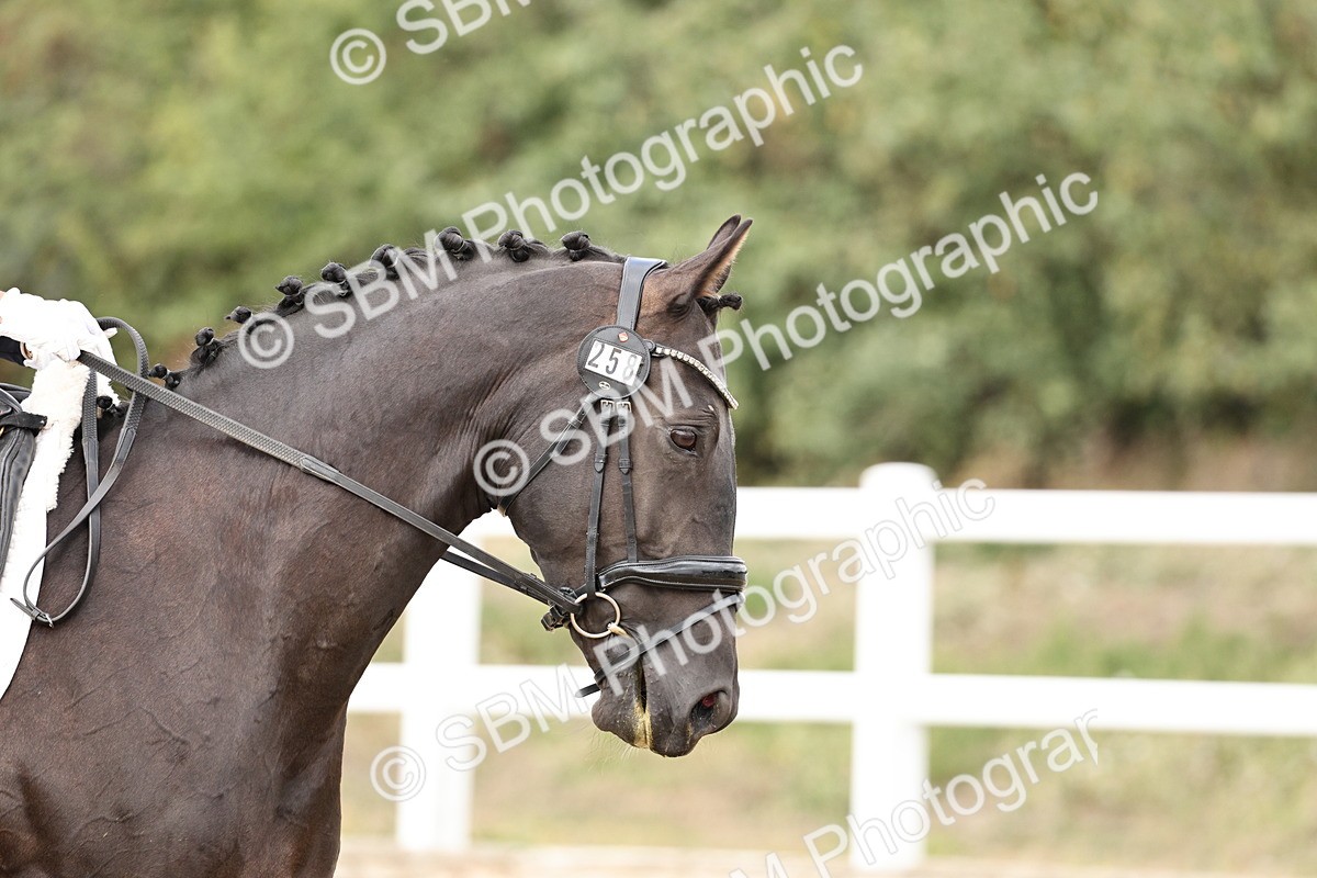 SBM_019568 - Class 18 - Elementary 5