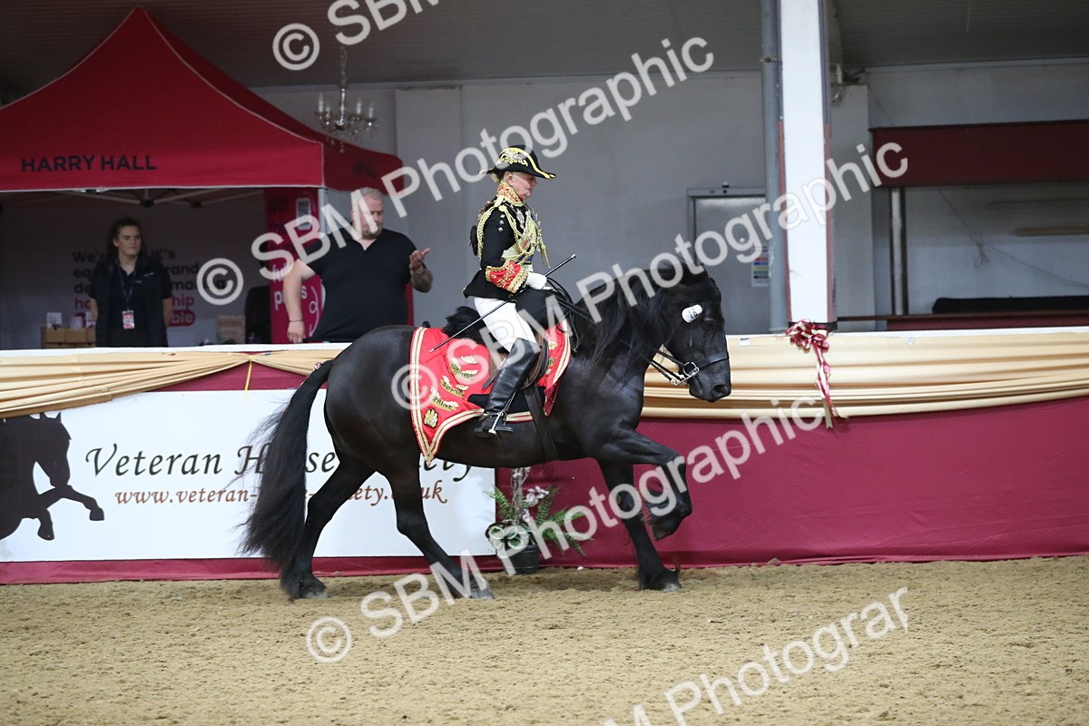 SBM_12020 - Class 106 Ridden Costume- Astride Adult (15-19)