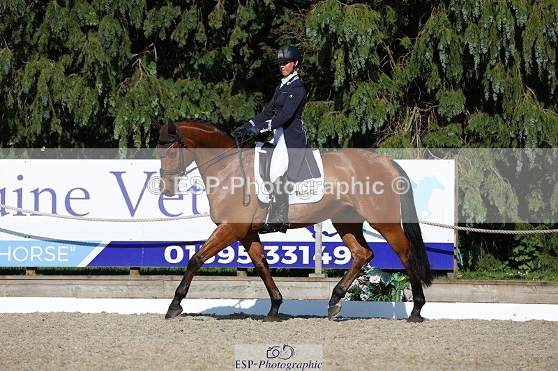 230526-171946-07949 - 177-ARGENTINO_BK-Dani_Evans-WEDTrotUp+DR