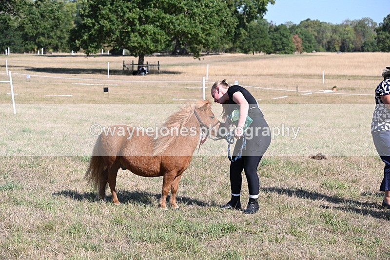 WJ6_7342 - Class 33 Rescue Pony