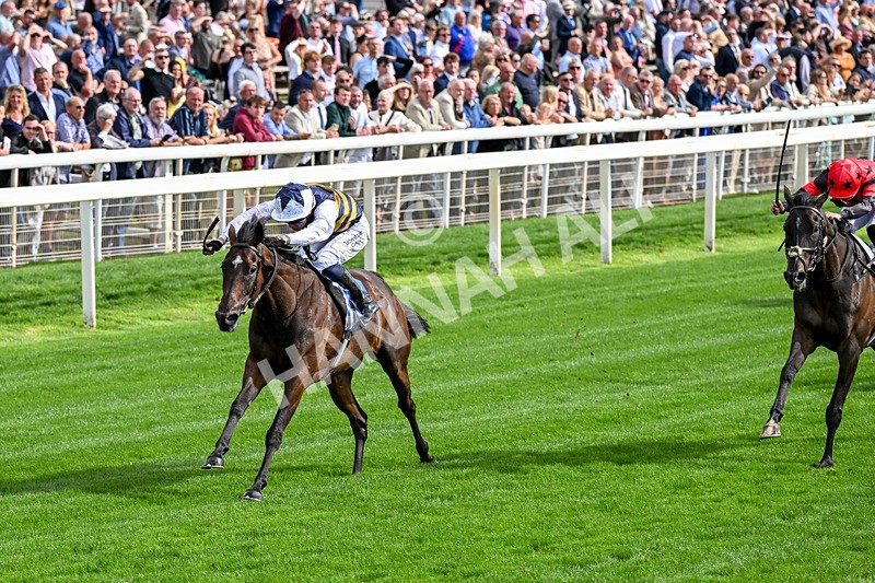 190826-Race 5-Small Fry-0649 - Race 5 16.10pm Sky Bet Stayers Handicap