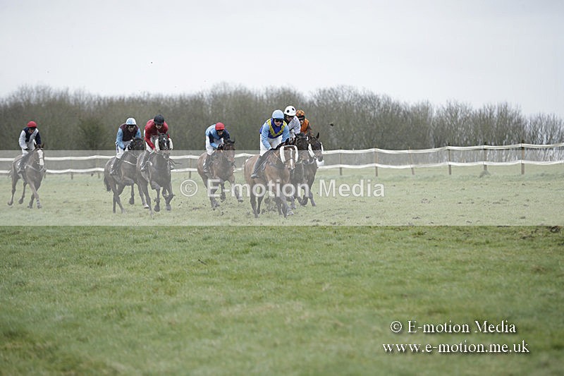 PtP 150320 0283 - New Forest Point-to-Point Larkhill 15/03/20