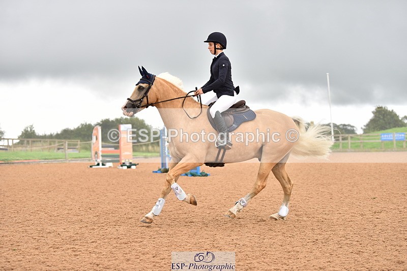 230808A-170426-00249 - 80cm