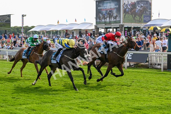 130625-Race 6-Forager-9941 - Race 6 4.45pm Constant Security Services Handicap