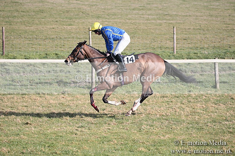 PtP 230219 247 - Vine & Craven Point-To-Point - Barbury 23/02/19
