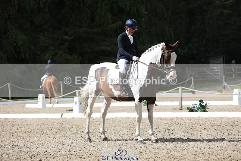 230812-112757-03778 - Cls 5 Novice Bronze 11.15 to 12.50 break