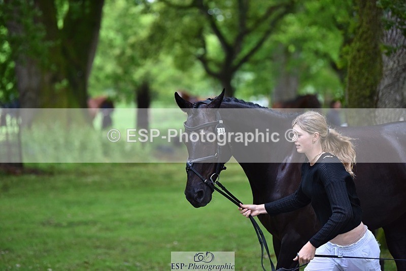 240522-163120-00972 - 209-COOLEY_DJANGO-Lottie_Royle