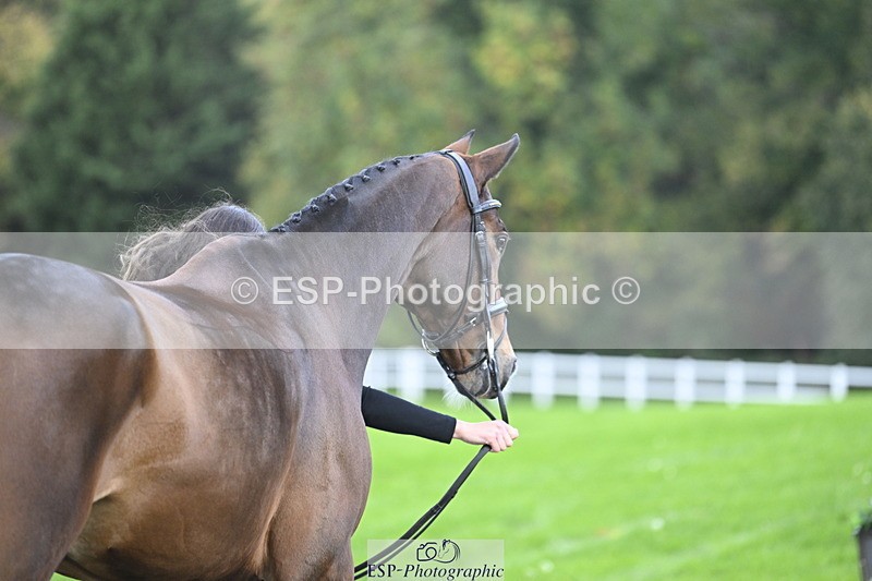 251025A-090232-17669 - A-015-Jess.Rimmer