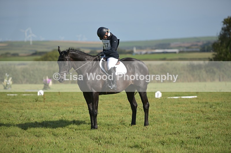 RAY_7464 - Class 2B: Trekenning Open: Dressage