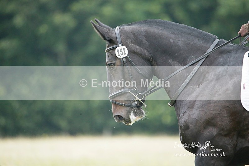 BVRC 030721 32 - Bourne Valley Riding Club Dressage 03/07/21