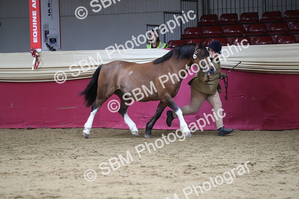 SBM_06331 - Class 9R Regional- IH Pre Vet